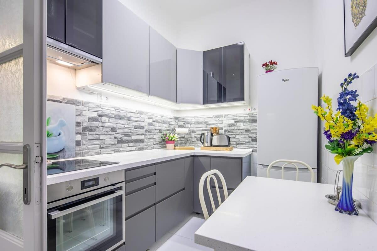 Apartment Large And Comfy Budapest